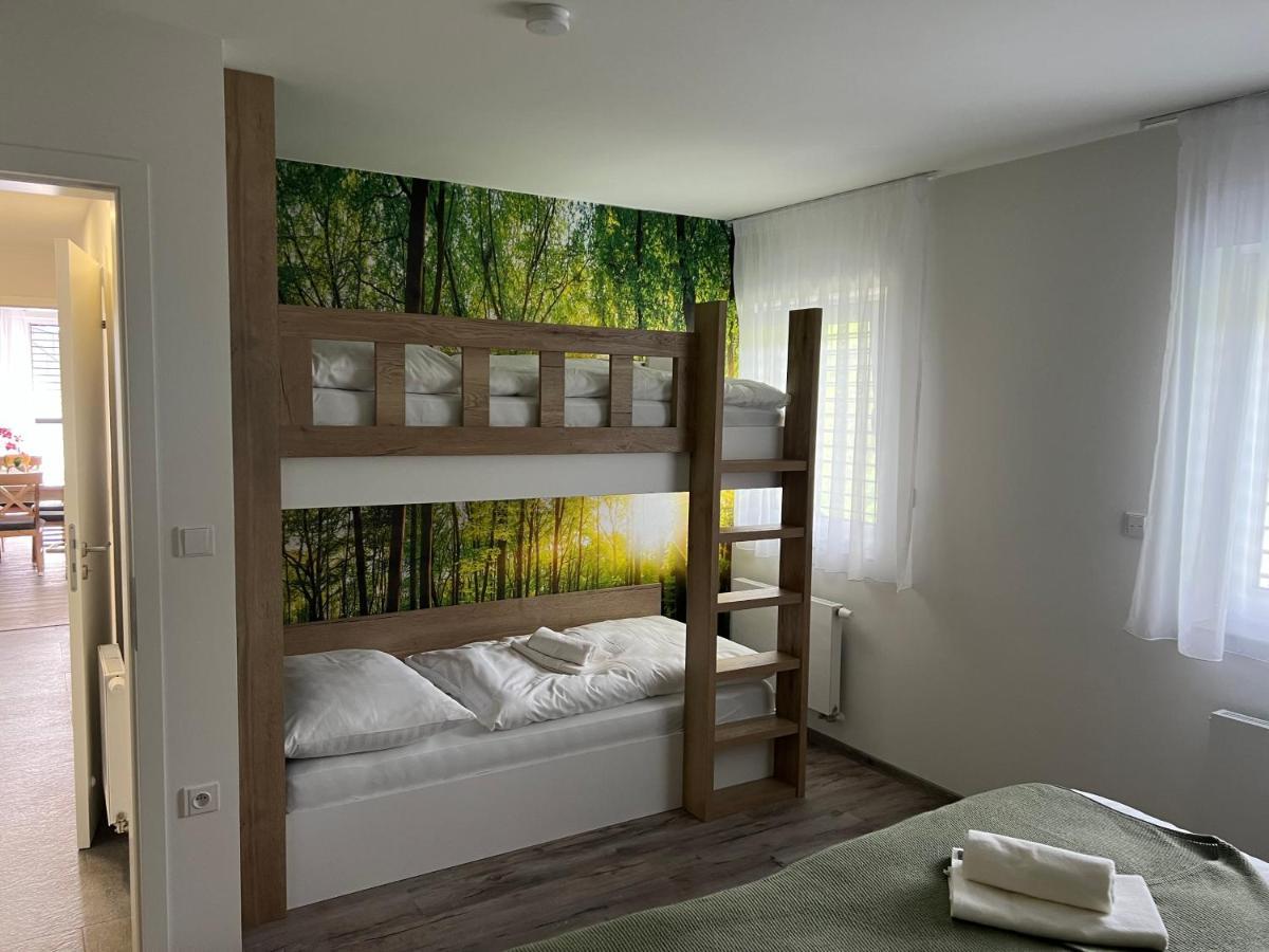 Apartman - Dolni Morava - "Sedmicka" Pro 2 Az 6 Osob Экстерьер фото